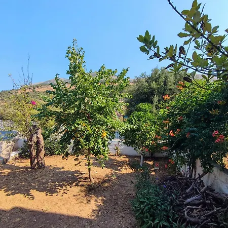 το σπίτι με τις βουκαμβίλιες